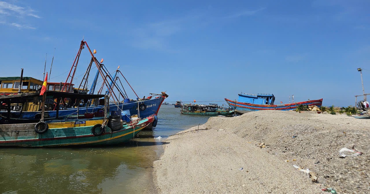 Cận cảnh dùng cả ngàn khối vỏ sò, ốc san lấp trái phép bờ sông Cửa Lấp