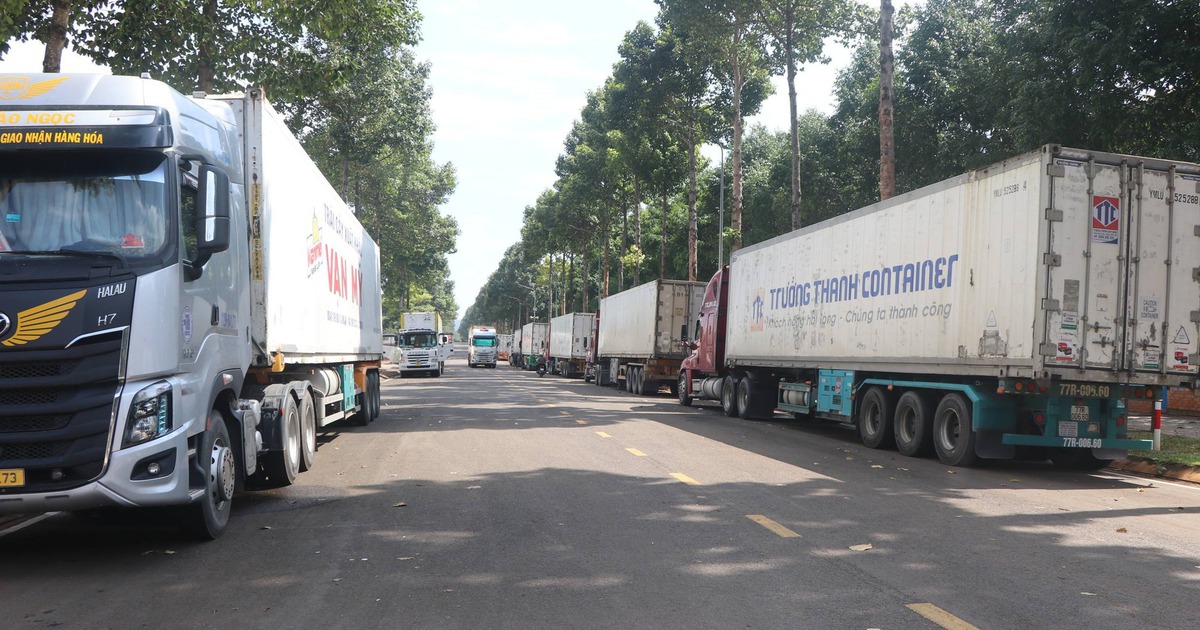 Xe container chở sầu riêng chờ kiểm định để xuất khẩu đậu kín Bến xe Dầu Giây