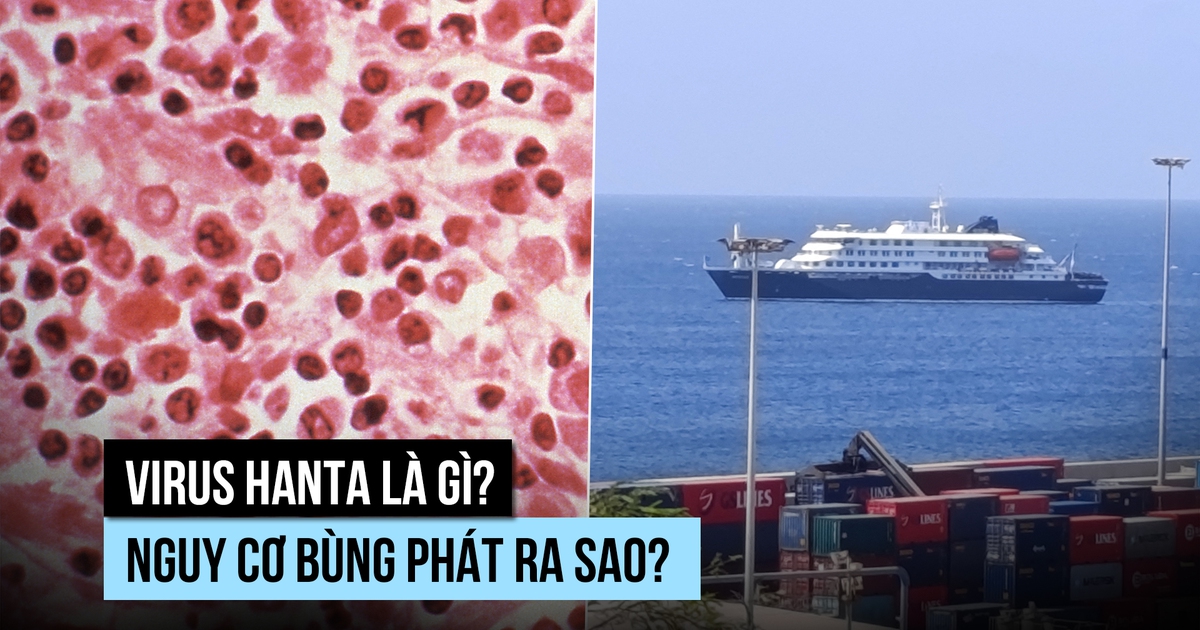 Virus hanta có nguy cơ lây từ người qua người không?
