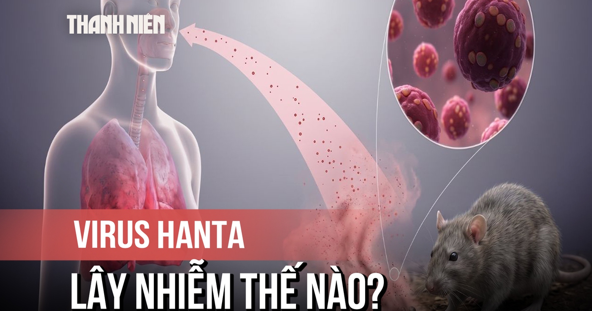 Virus Hanta: Bị chuột cắn cũng có thể nhiễm bệnh
