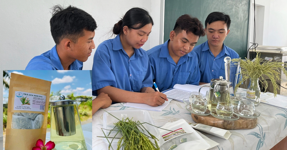 Sinh viên làm sản phẩm độc lạ: Trà từ lúa chét ST25