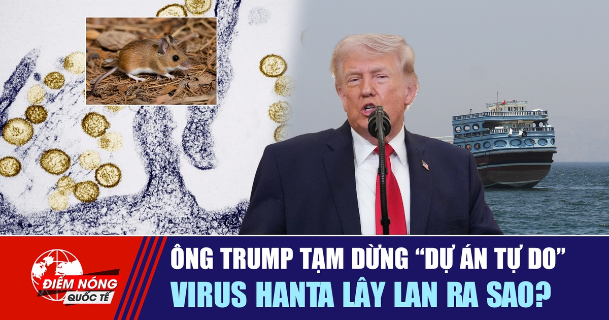 Tiêu điểm quốc tế 7.5: Ông Trump tạm dừng 'Dự án Tự do' | Virus hanta lây lan ra sao?