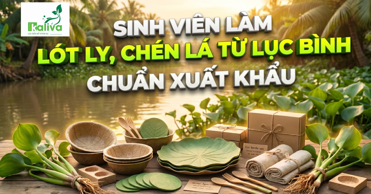 Cùng sống xanh số 147: Sinh viên khởi nghiệp - Biến phế phẩm lục bình thành dụng cụ ăn uống chất lượng châu Âu