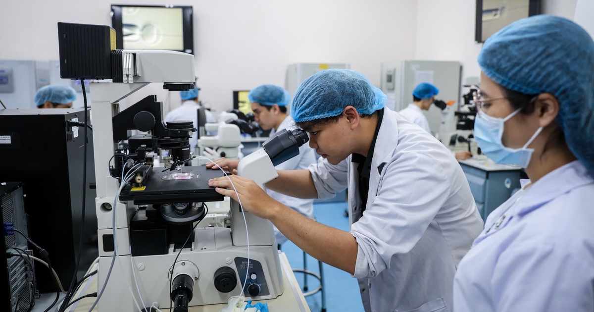 Để VN có đại học trong top 300 thế giới giai đoạn 2045 - 2050