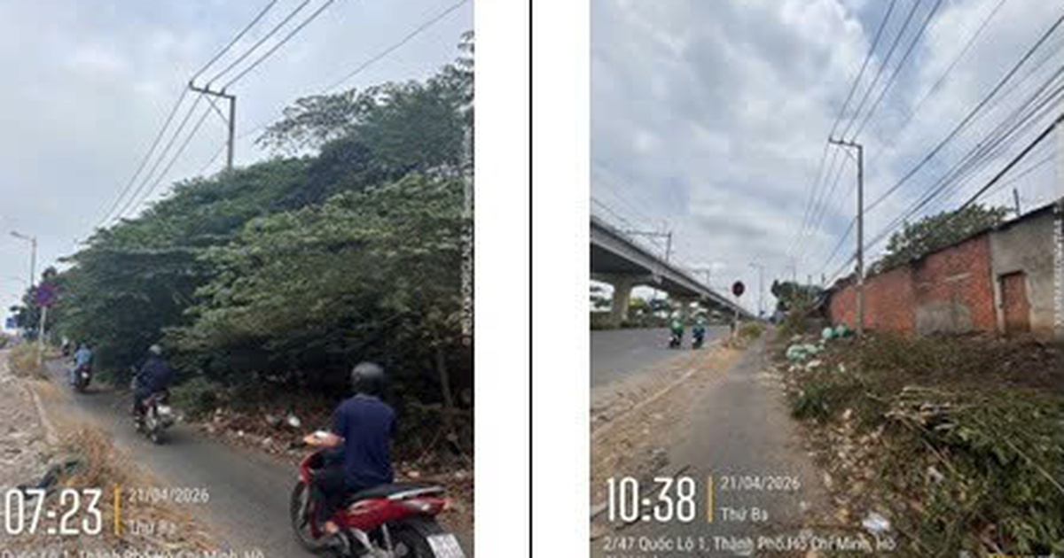 Đã hỗ trợ cắt tỉa cây xanh sà ra đường