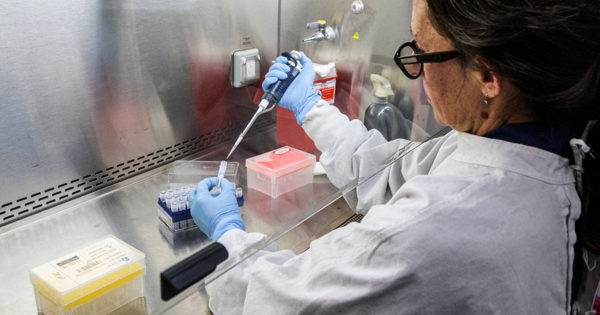 3 tiểu bang Mỹ theo dõi người về từ du thuyền có dịch virus hanta