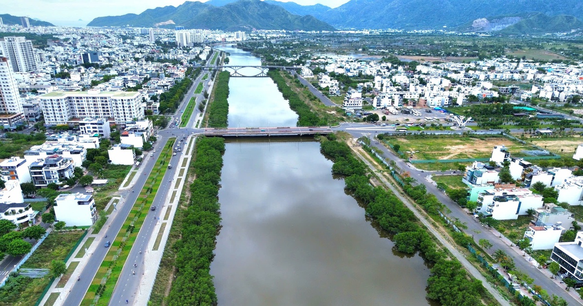Chặt bỏ hai hàng cây khiến dự án kè sông 593 tỉ đồng chưa nghiệm thu