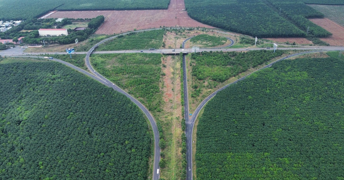 Thành phố Đồng Nai thu hồi 4.300 ha đất cao su cho các dự án trọng điểm