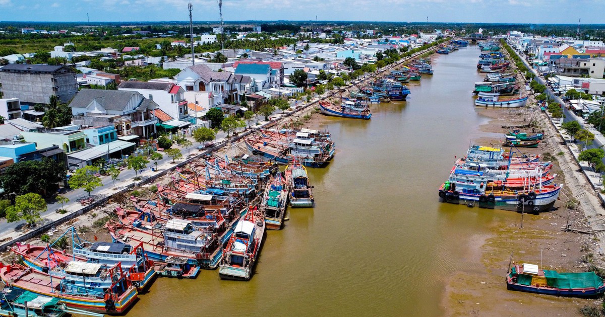 Nhịp sống ở cảng cá Trần Đề: Người bốc xếp, vá lưới tất bật theo mùa cá