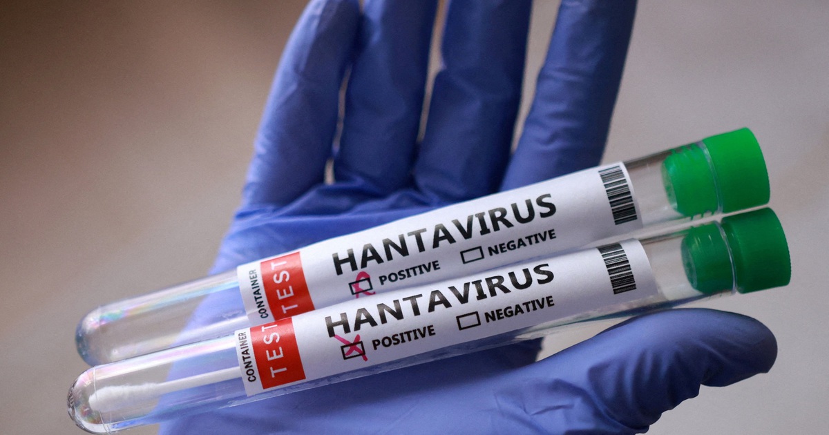Số người nhiễm virus hanta gia tăng, đều thuộc biến thể lây từ người sang người