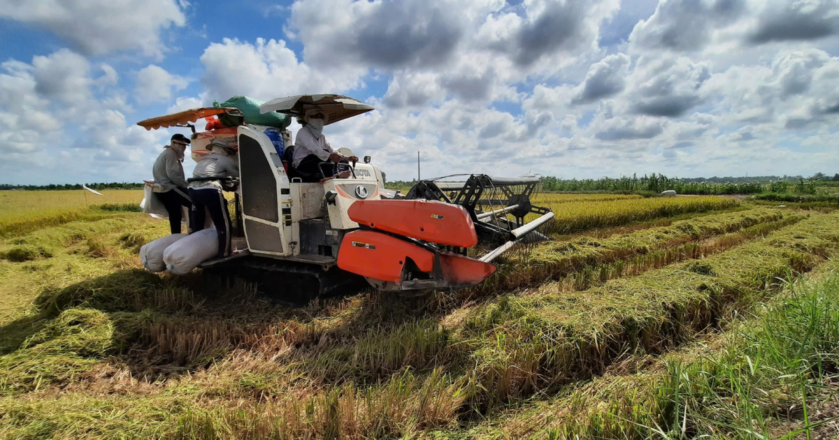 Đề xuất nhiều cơ chế phát triển 3 loại mô hình nông nghiệp ở Hà Nội