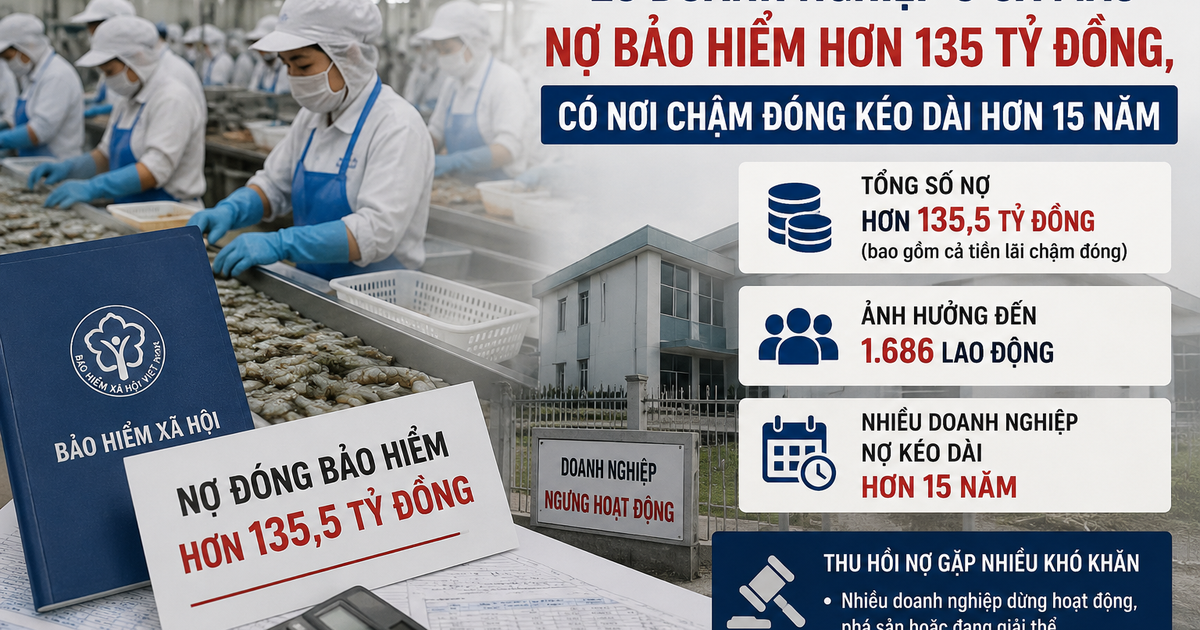 23 doanh nghiệp C&agrave; Mau nợ bảo hiểm hơn 135 tỉ đồng, ảnh hưởng 1.686 lao động
