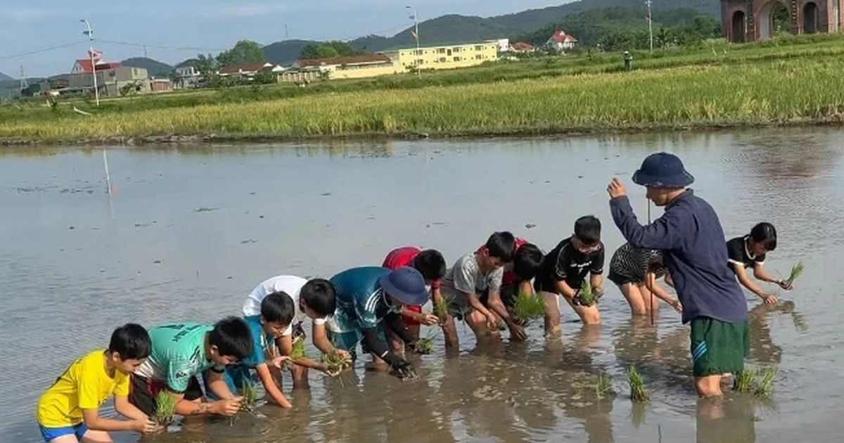 Cần th&ecirc;m những lớp học đặc biệt cho 'khối nghỉ h&egrave;'