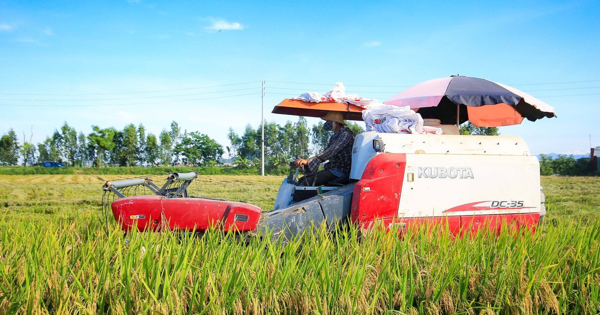 C&ocirc;ng an Hưng Y&ecirc;n cảnh b&aacute;o nạn bảo k&ecirc; gặt l&uacute;a