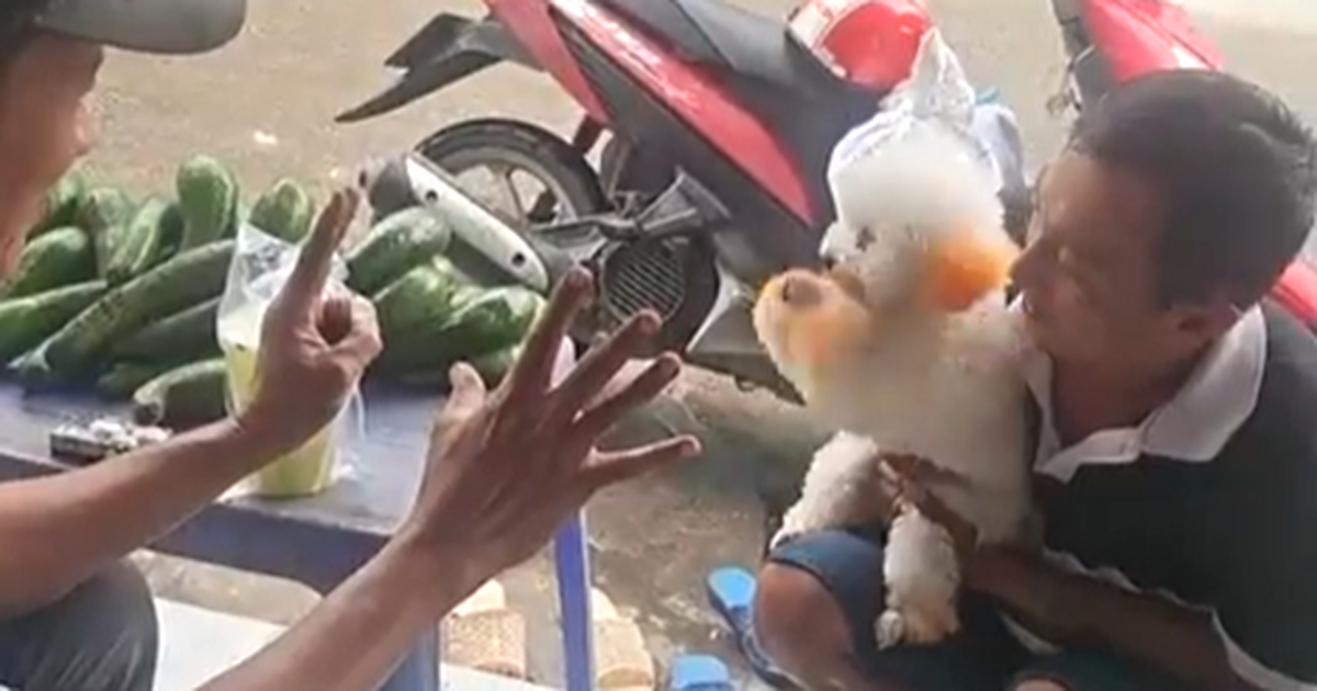 Chó biết làm toán hút triệu view: Khách tìm đến tận nơi để kiểm chứng