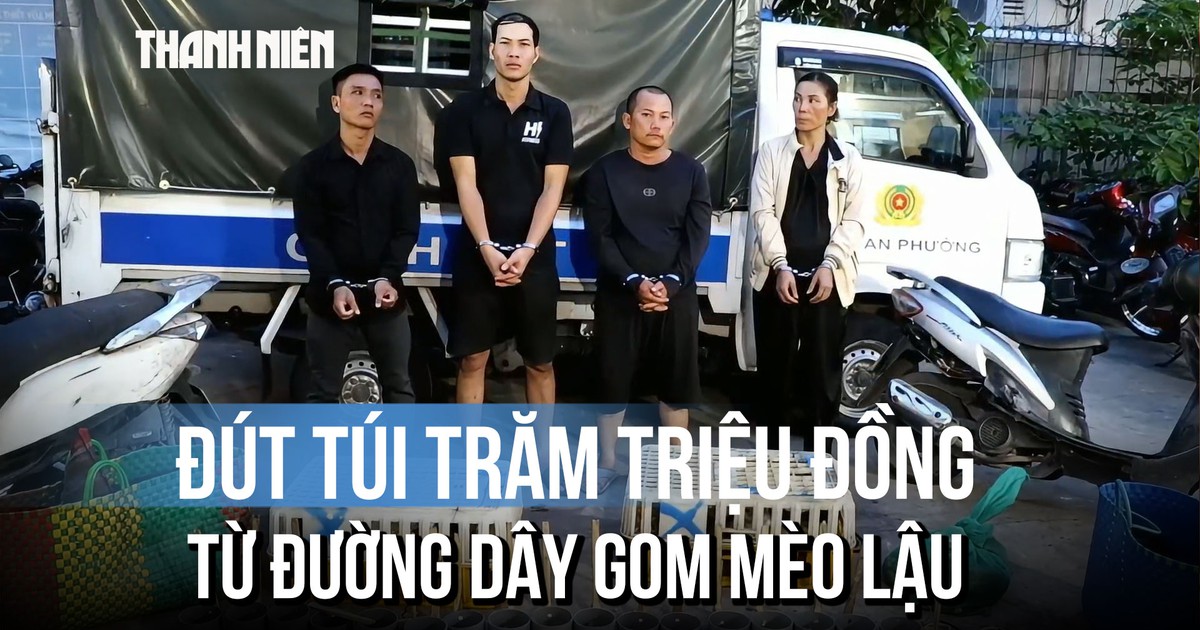 Mỗi ngày gom 50 kg mèo lậu, đút túi hàng trăm triệu đồng chỉ sau vài tháng