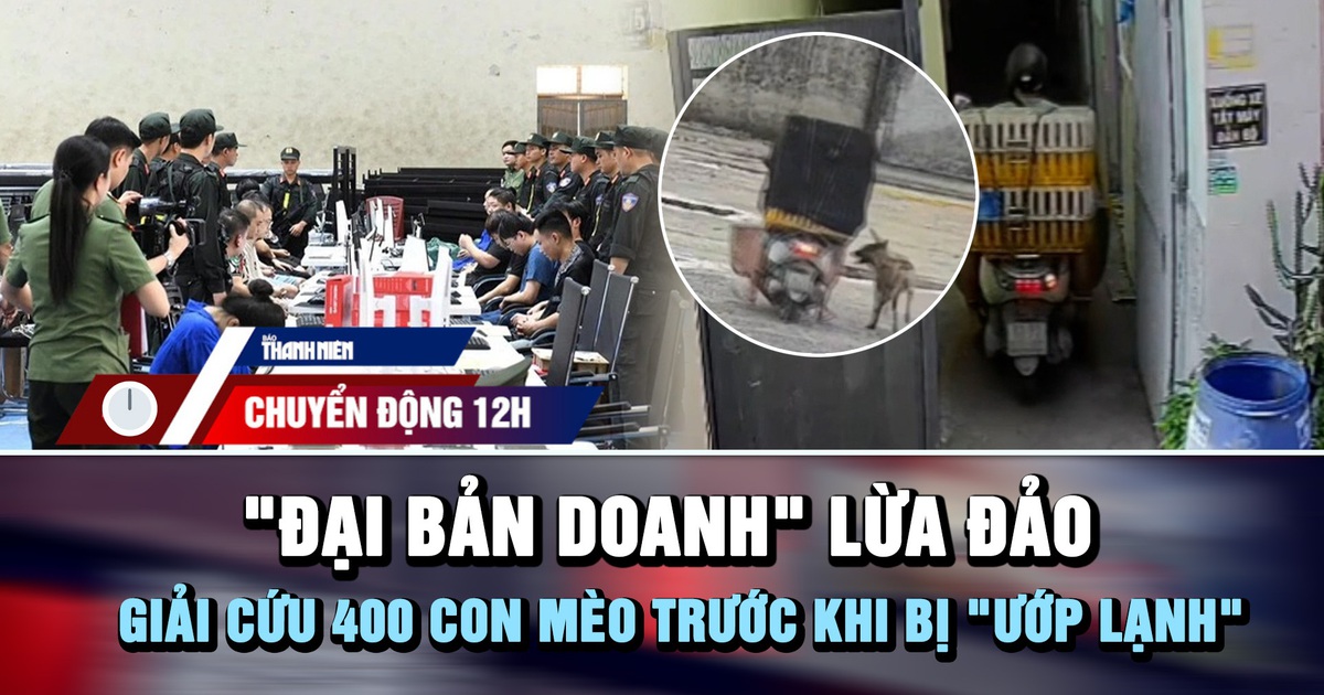 Chuyển động 12h: Bên trong 'đại bản doanh' của nhóm lừa đảo | Giải cứu 400 con mèo trước khi bị 'ướp lạnh'