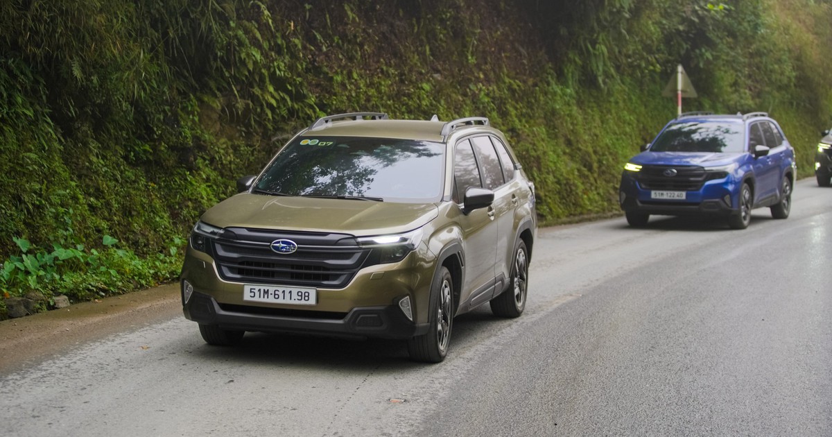Subaru Forester tại Việt Nam không dính lỗi như thị trường Mỹ