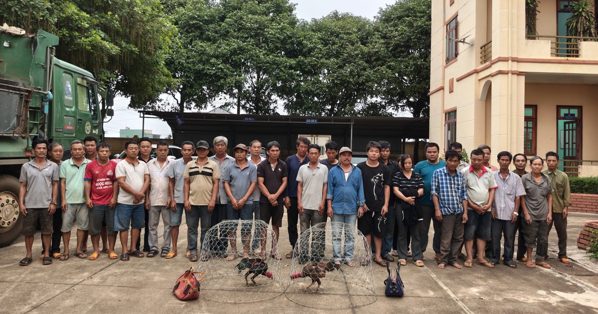 Đột kích trường gà ở Gia Lai, bắt giữ 31 người