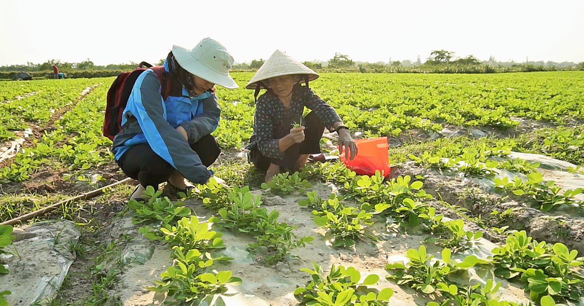 Quảng Trị tìm giải pháp thích ứng khí hậu từ những người chịu tác động trực tiếp