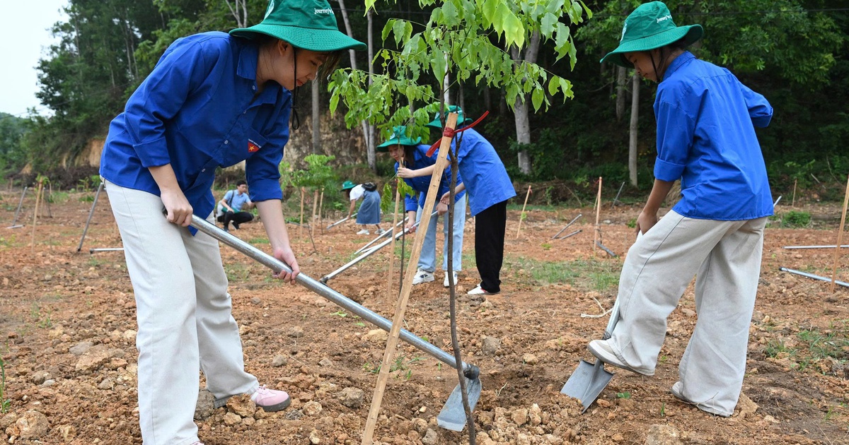 Cấp bách chống sa mạc hóa
