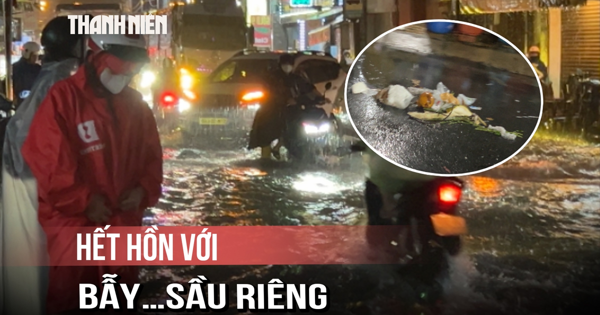 Mưa rút, người dân hoảng hồn với bẫy bằng…sầu riêng