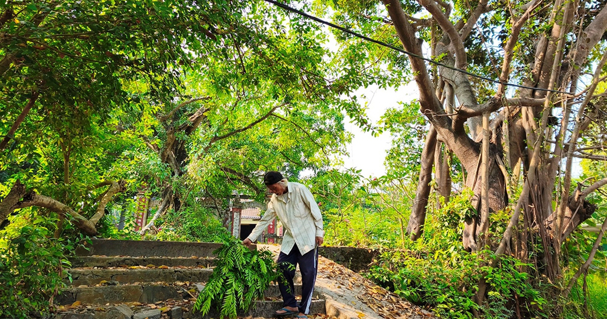 Rừng thiêng giữa phố: Những điều cấm ở rừng Trung Sơn