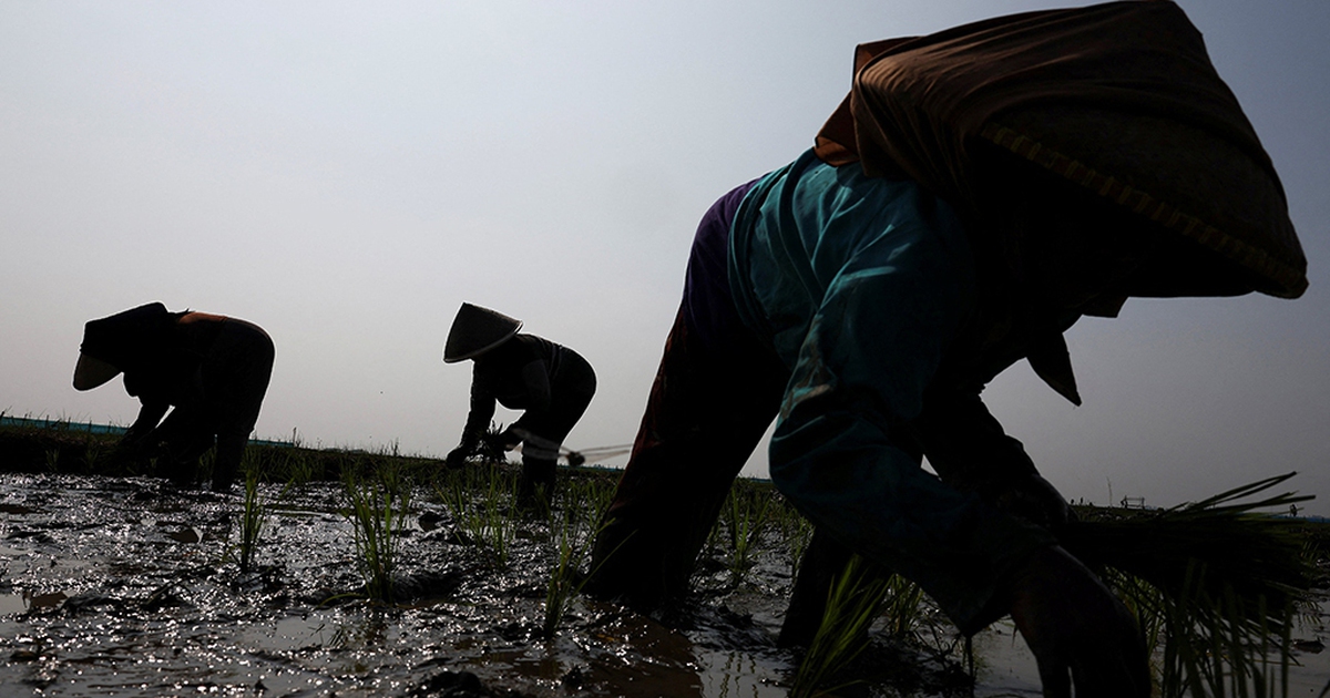 Thế giới ứng phó siêu El Nino