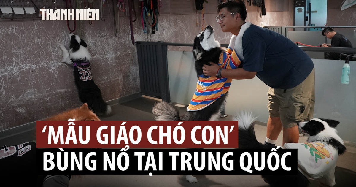 'Mẫu giáo cho cún' đắt khách tại Trung Quốc