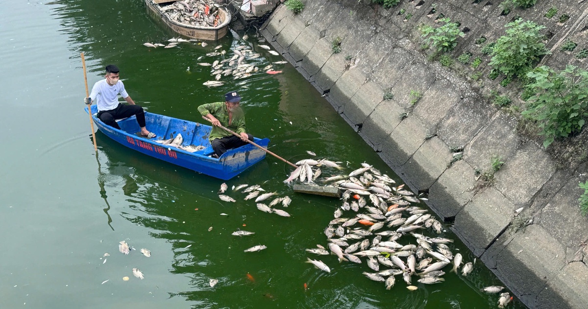 Rắc vi sinh tạo bọt khí cho hồ công viên Nghĩa Đô