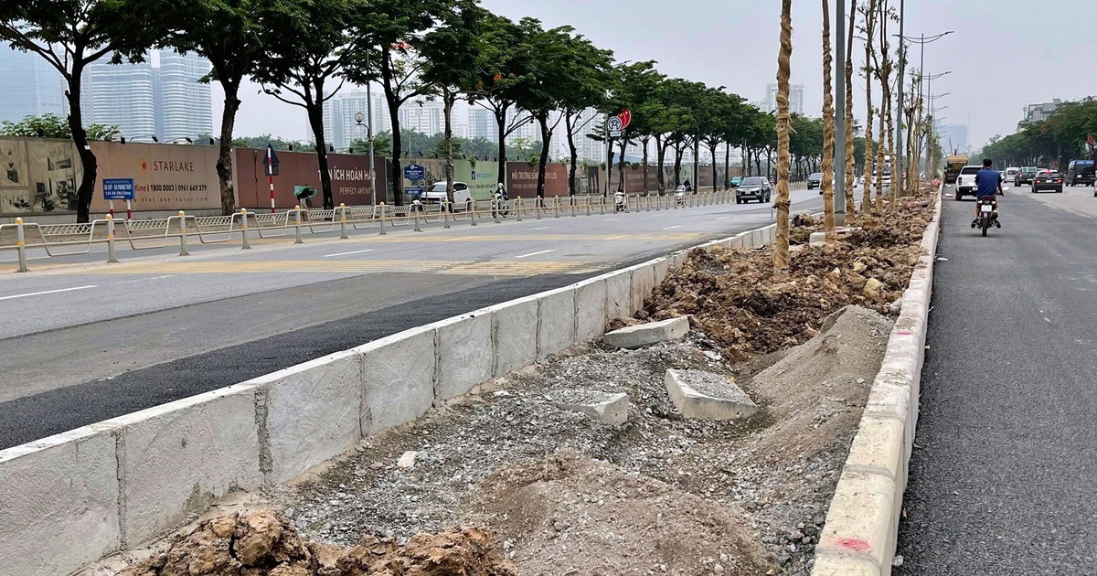 Chủ đầu tư nói gì khi trồng cây trên nền đá dăm ở đường Võ Chí Công?