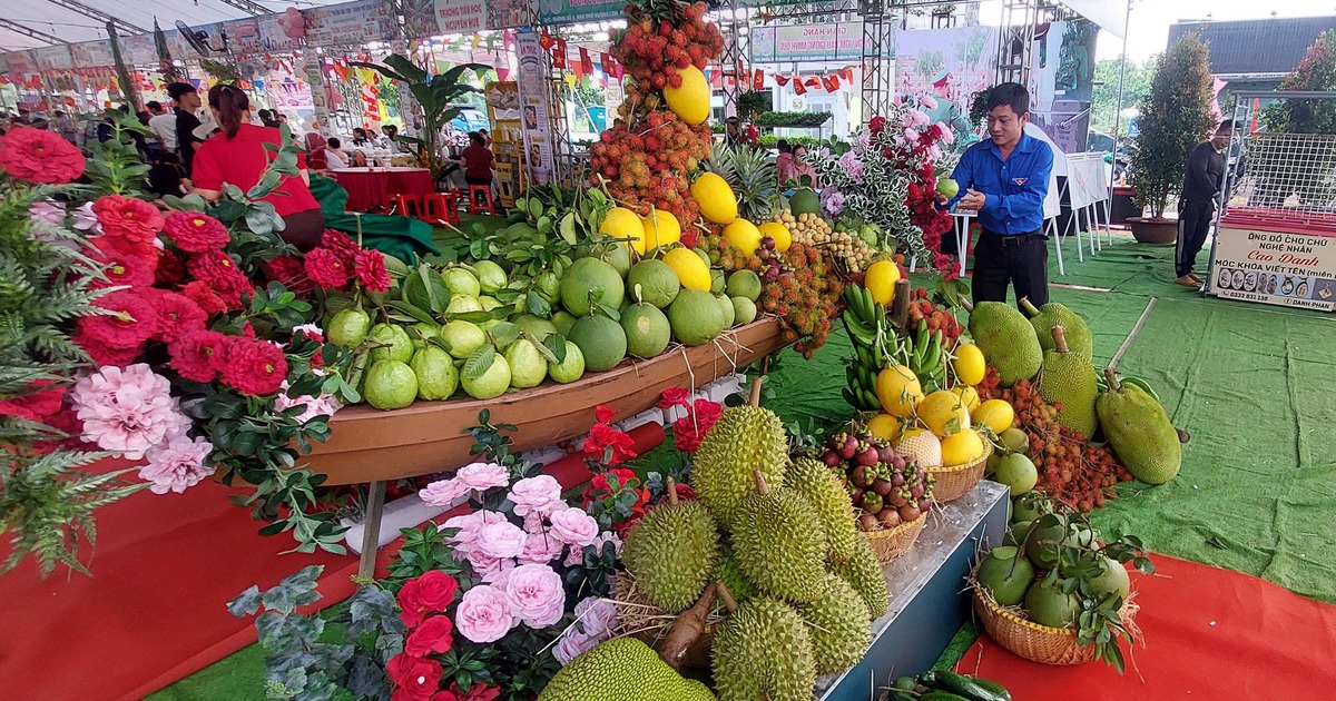 Khám phá ‘vương quốc trái cây’ Đồng Nai