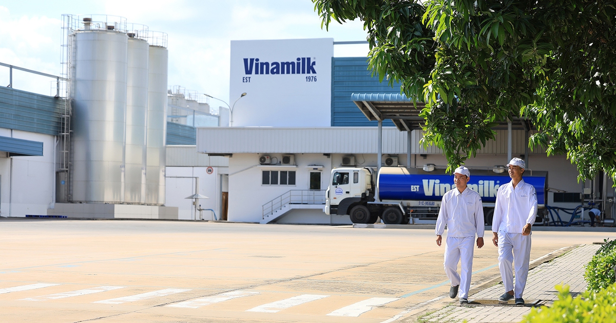 Vinamilk là doanh nghiệp sữa duy nhất của Việt Nam trong Fortune 500 Đông Nam Á