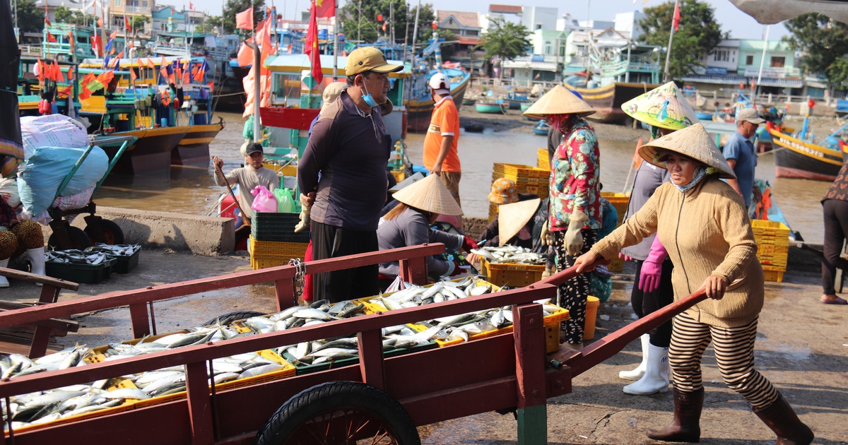 L&acirc;m Đồng tiến ra biển lớn: Biển khơi m&aacute;u thịt ng&agrave;n đời