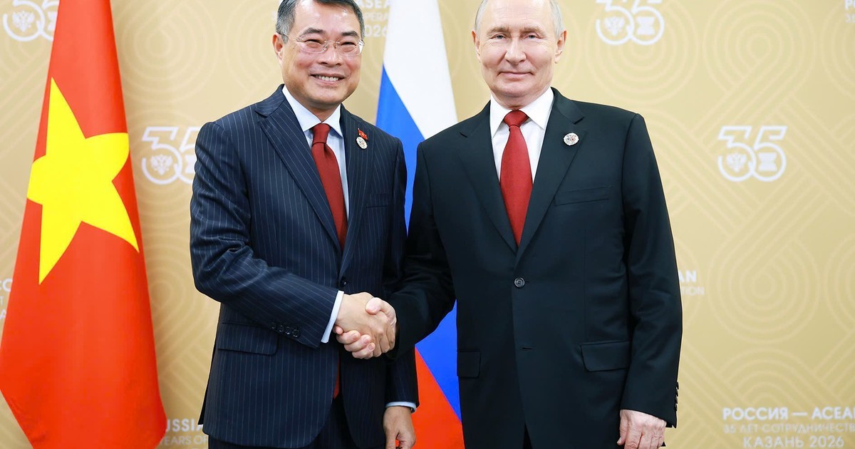 Thủ tướng Lê Minh Hưng hội kiến Tổng thống Nga Vladimir Putin