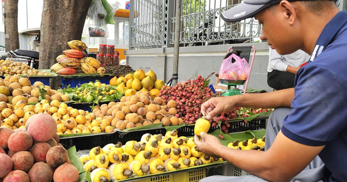 Gian h&agrave;ng tr&aacute;i c&acirc;y tuổi thơ ở TP.HCM: Người lớn t&igrave;m k&yacute; ức, trẻ nhỏ lần đầu biết