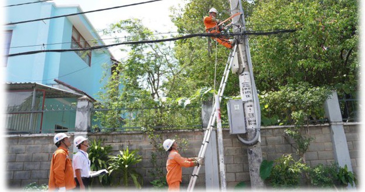 Những con người đã giữ cho thành phố này sáng mãi