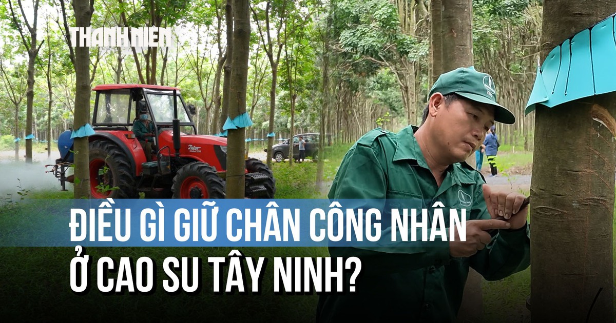 Giữa sức hút của khu công nghiệp, cao su Tây Ninh giữ chân công nhân thế nào?