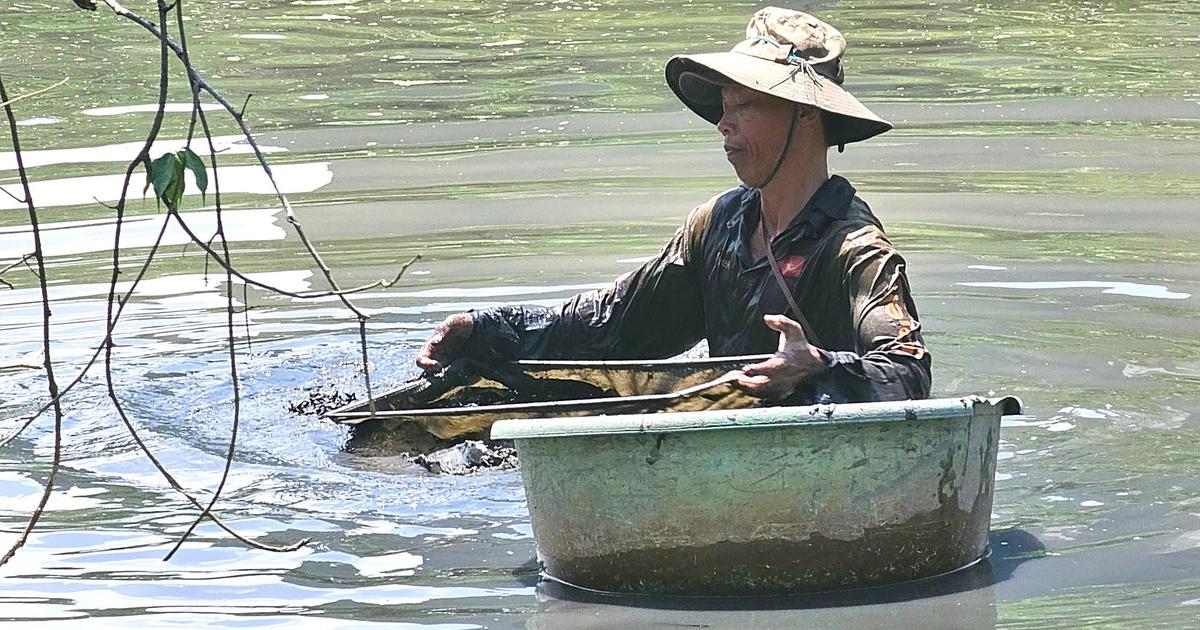 27 năm mưu sinh dưới d&ograve;ng rạch đen: Chuyện người đ&agrave;n &ocirc;ng đ&atilde;i b&ugrave;n t&igrave;m tr&ugrave;n chỉ