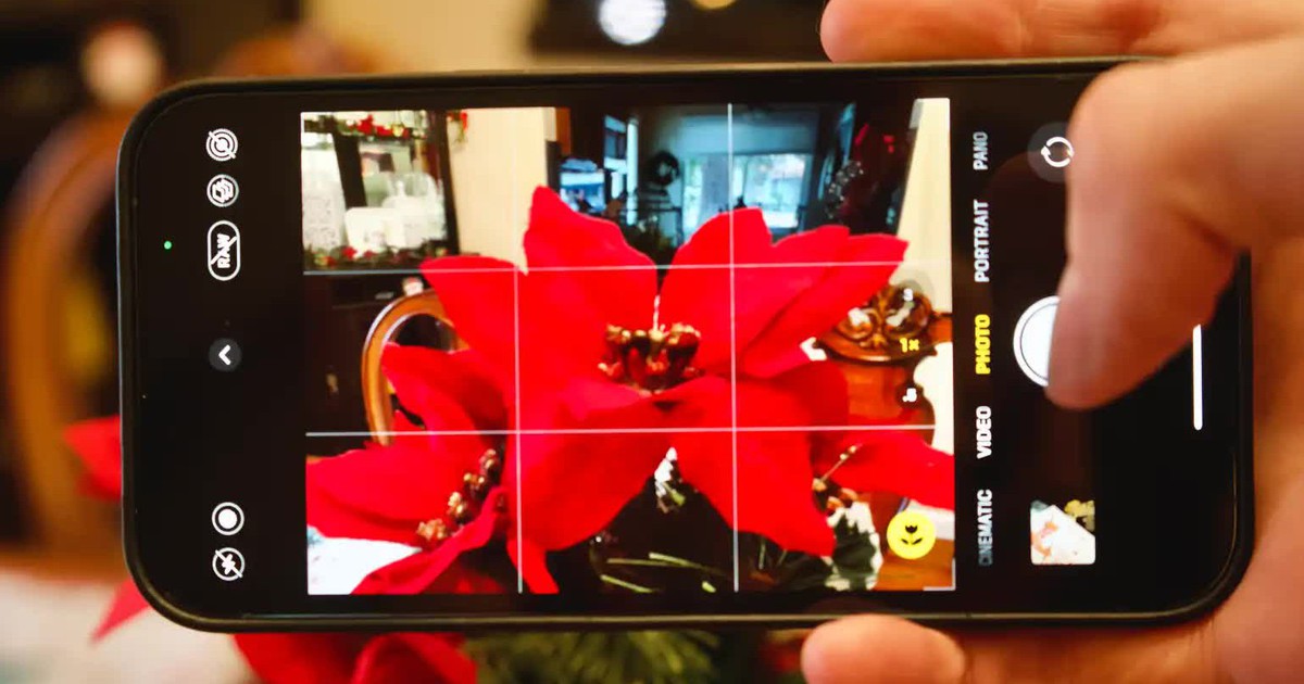 Vì sao camera iPhone đột nhiên hiện biểu tượng bông hoa?