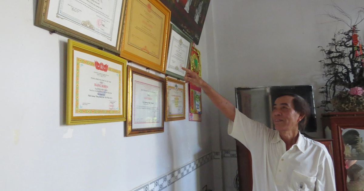 Can trường vươn khơi, bám biển