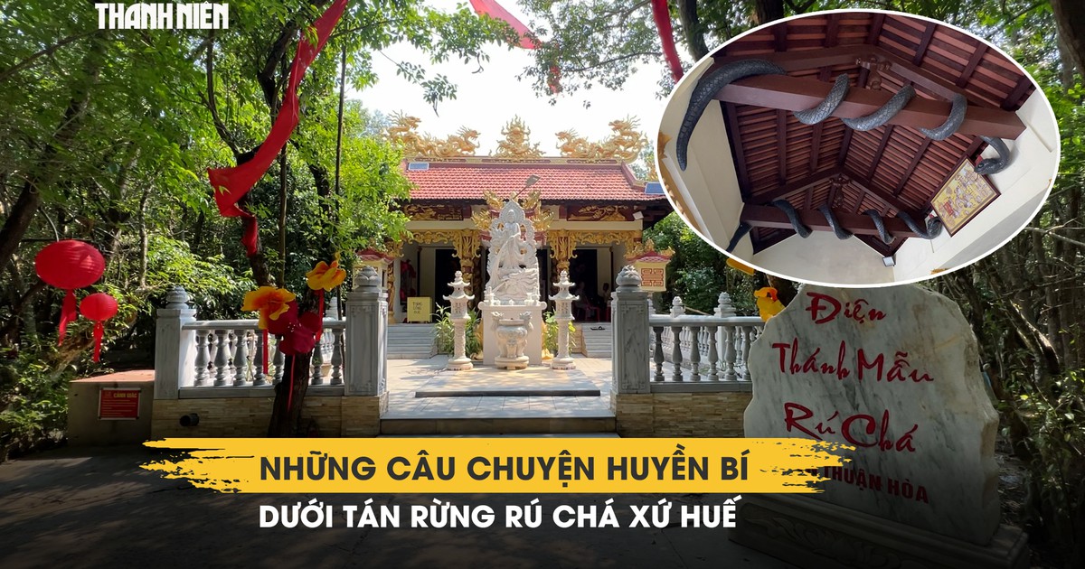 Những câu chuyện huyền bí dưới tán rừng Rú Chá xứ Huế