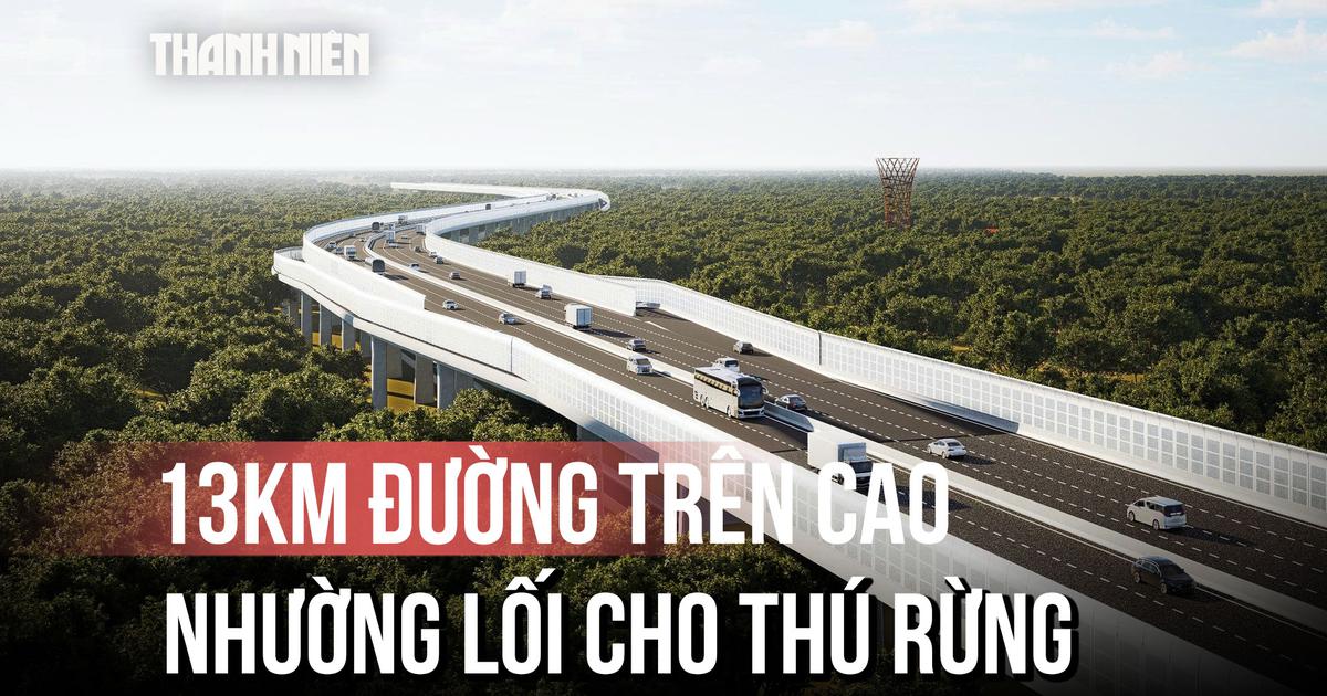 Choáng ngợp ảnh phối cảnh con đường trên cao xuyên rừng để nhường lối cho thú rừng
