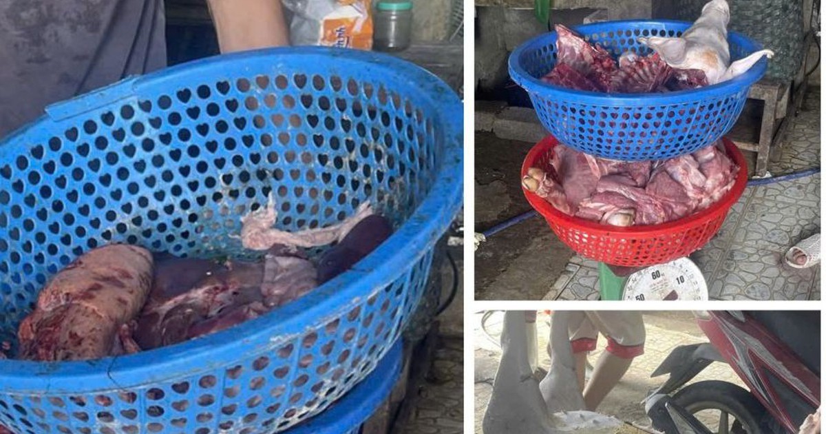 Ngang nhi&ecirc;n ti&ecirc;u thụ lợn nhiễm bệnh