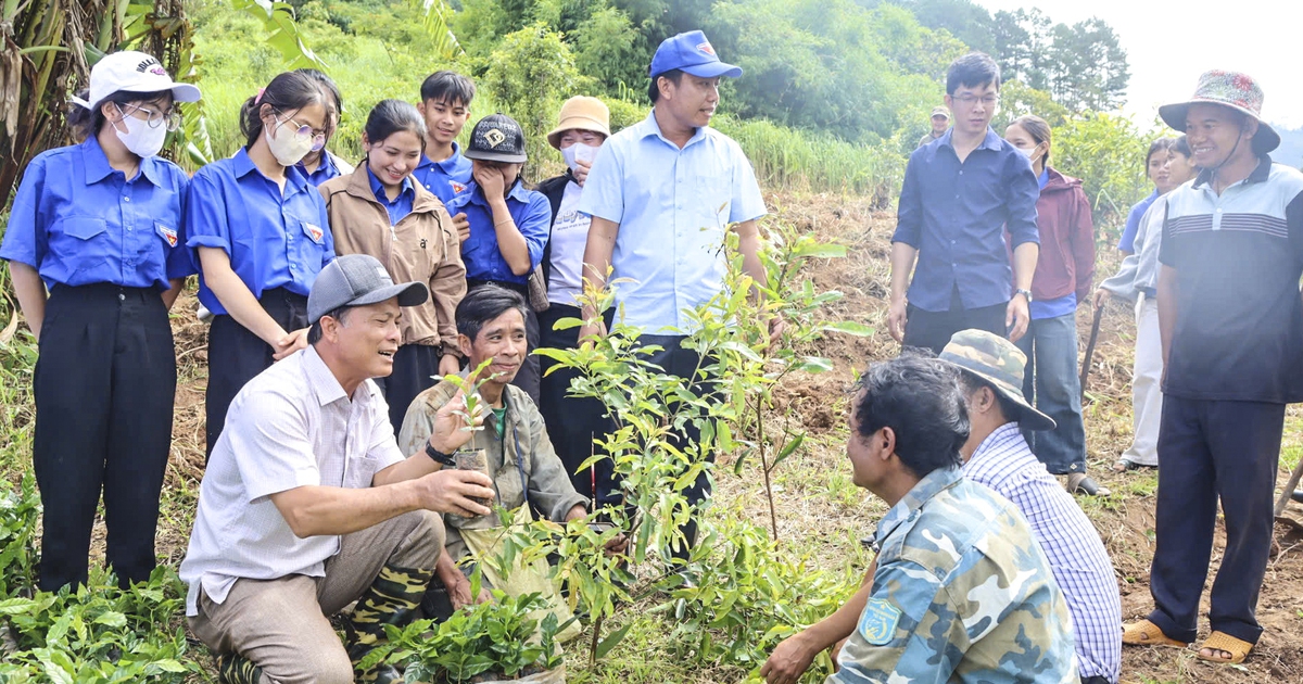 Từ 'đại hội kh&ocirc;ng hoa' đến trồng 1 triệu c&acirc;y c&agrave; ph&ecirc; cho đồng b&agrave;o Xơ Đăng