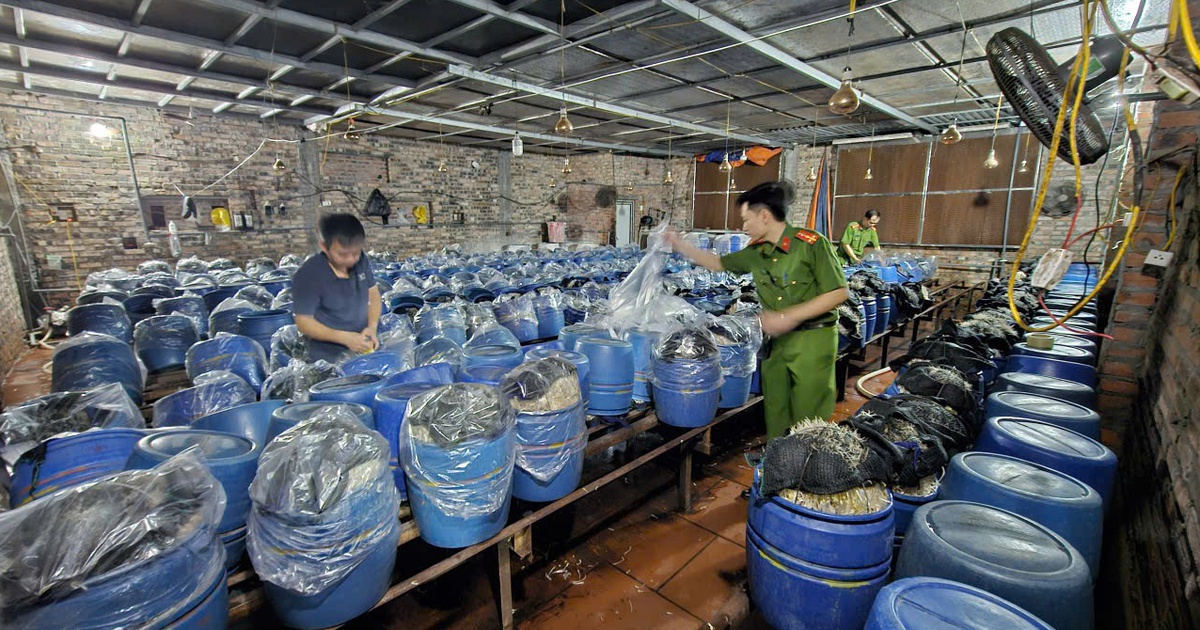 Bắc Ninh: 3 chủ cơ sở d&ugrave;ng 'nước kẹo' độc hại để sản xuất gi&aacute; đỗ