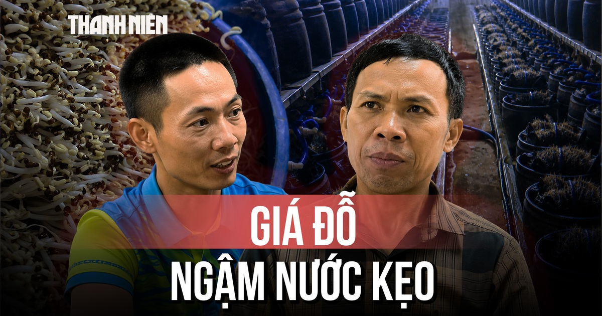 Chủ cơ sở ngâm giá đỗ vào nước kẹo vì 'làm giá hay bị hỏng'