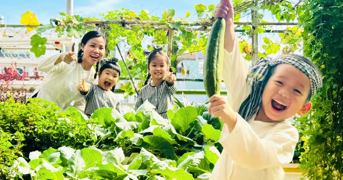 Trường mầm non công lập TP.HCM sẽ giữ trẻ trong hè từ ngày 15.6