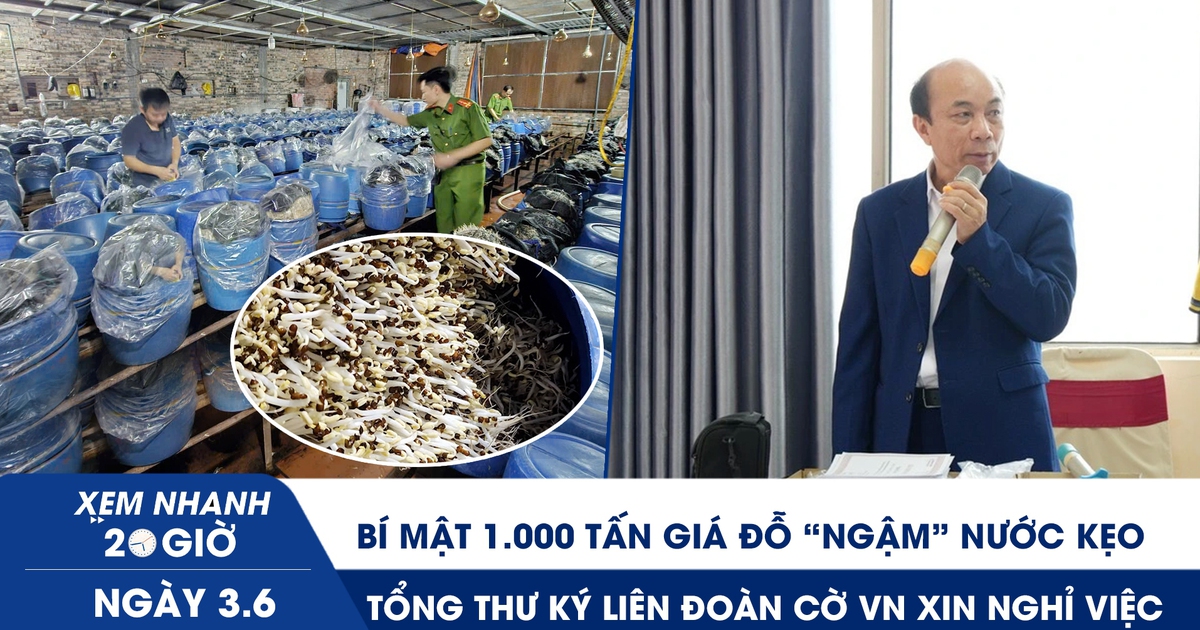Xem nhanh 20h ngày 3.6: Bí mật 1.000 tấn giá đỗ ‘ngậm’ nước kẹo | Tổng thư ký Liên đoàn Cờ VN xin nghỉ việc