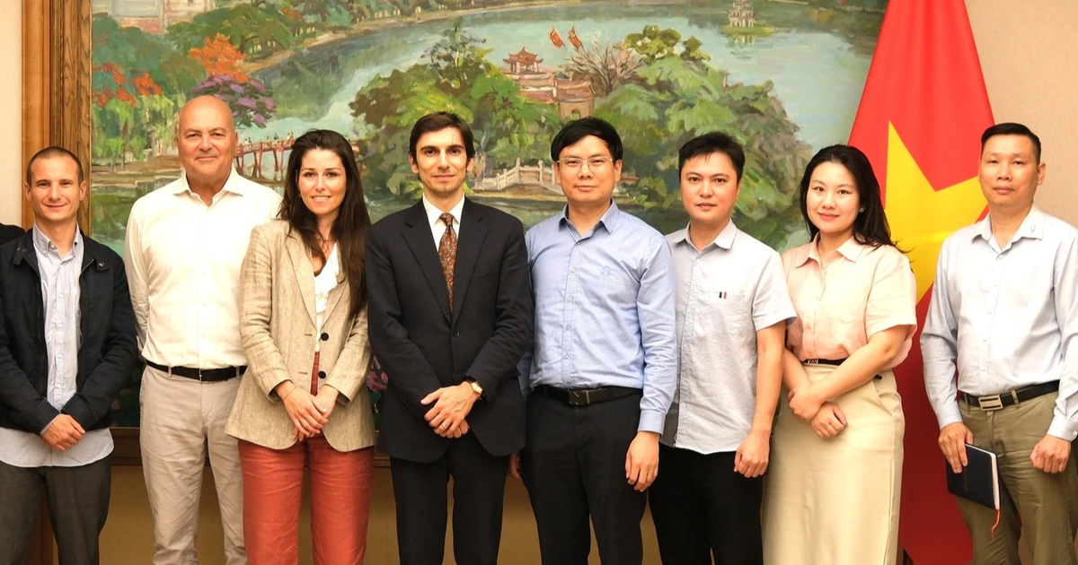 Ph&aacute;p hỗ trợ hợp t&aacute;c chuyển đổi số v&agrave; Ch&iacute;nh phủ điện tử